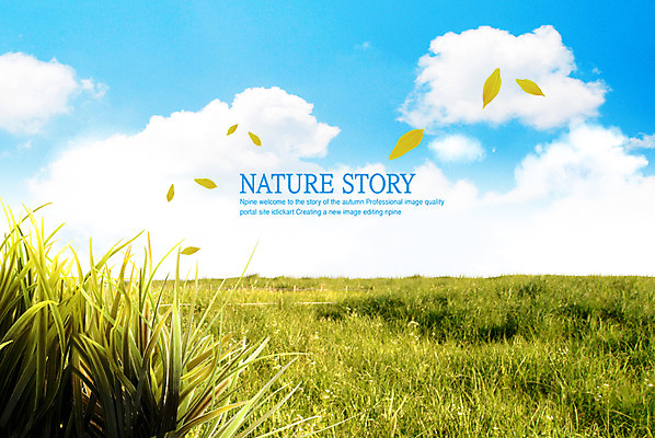 PSD 구름 편집이미지 잎 하늘 나뭇잎 논 풍경 초원 사람없음 농작물 풀 이미지편집 자연요소 식물 농업 파일형식
