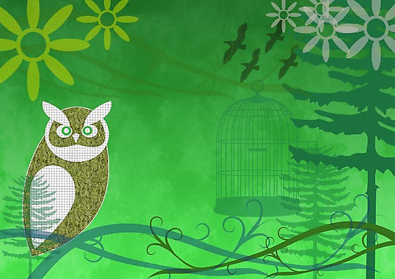 PSD 나무 동물 한마리 꽃 백그라운드 일러스트 자연 조류 사람없음 덩굴 숲 자연백그라운드 부엉이 새장 국내일러스트 식물 1 생태계 케이지 파일형식