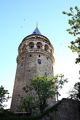 포토 JPG 주간 나무 식물 해외풍경 해외 건축물 건축 로우앵글 중동 해외건축 서양건축 하늘 이스탄불 석조 풍경 사람없음 야외 건물 관광지 탑 돌_바위 전망대 갈라타타워 튀르키예 국내포토 자연요소 나라 아시아 뷰포인트 여행 파일형식