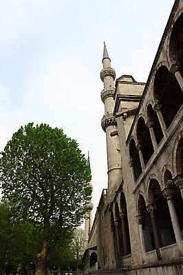 포토 JPG 주간 나무 식물 해외풍경 해외 건축물 건축 고건축 중동 건축양식 해외건축 서양건축 종교건축 종교시설 이스탄불 석조 풍경 야외 건물 관광지 교회 탑 돌_바위 기둥 사찰 사원 이슬람교 모스크 이슬람건축 첨탑 블루모스크 술탄아흐메트 튀르키예 국내포토 자연요소 나라 아시아 종교 여행 비즈니스 시설 파일형식