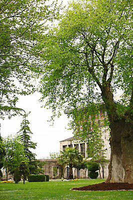 포토 JPG 주간 나무 식물 해외풍경 해외 건축물 공원 건축 고건축 중동 해외건축 서양건축 종교건축 종교시설 이스탄불 풍경 잔디 사람없음 야외 건물 관광지 담장 교회 정원 사찰 사원 이슬람교 모스크 이슬람건축 블루모스크 술탄아흐메트 술탄아흐메트자미 튀르키예 국내포토 자연요소 공공시설 나라 아시아 종교 여행 비즈니스 시설 파일형식