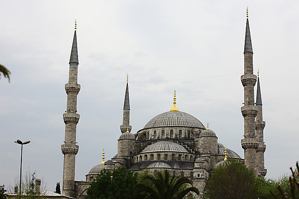 포토 JPG 주간 나무 식물 구름 해외풍경 해외 건축물 건축 고건축 가로등 중동 건축양식 해외건축 서양건축 종교건축 종교시설 하늘 이스탄불 풍경 사람없음 야외 건물 관광지 교회 탑 기둥 사찰 사원 이슬람교 모스크 이슬람건축 첨탑 블루모스크 술탄아흐메트 술탄아흐메트자미 튀르키예 국내포토 자연요소 공공시설 나라 아시아 종교 여행 비즈니스 시설 파일형식