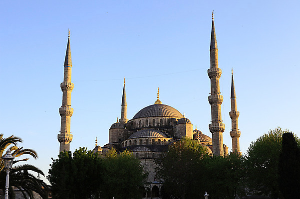 포토 JPG 주간 나무 식물 해외풍경 해외 건축물 건축 고건축 가로등 중동 건축양식 해외건축 서양건축 종교건축 종교시설 하늘 이스탄불 풍경 사람없음 야외 건물 관광지 교회 탑 기둥 사찰 사원 이슬람교 모스크 이슬람건축 첨탑 블루모스크 술탄아흐메트 술탄아흐메트자미 튀르키예 국내포토 자연요소 공공시설 나라 아시아 종교 여행 비즈니스 시설 파일형식