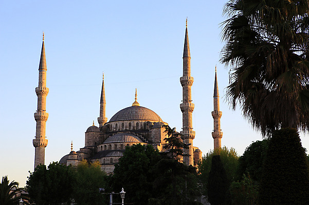포토 JPG 주간 나무 식물 해외풍경 해외 건축물 건축 고건축 가로등 중동 건축양식 해외건축 서양건축 종교건축 종교시설 하늘 이스탄불 풍경 사람없음 야외 건물 관광지 교회 탑 기둥 사찰 사원 이슬람교 모스크 이슬람건축 첨탑 블루모스크 술탄아흐메트 술탄아흐메트자미 튀르키예 국내포토 자연요소 공공시설 나라 아시아 종교 여행 비즈니스 시설 파일형식