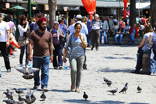 포토 JPG 주간 동물 해외풍경 해외 공원 중동 조류 거리 이스탄불 거리풍경 사람 풍경 여러명 야외 도시풍경 도시 보행자 비둘기 광장 오르타쿄이 튀르키예 국내포토 자연요소 공공시설 나라 아시아 다수 파일형식