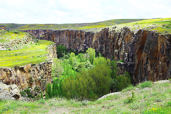 포토 JPG 주간 나무 식물 구름 해외풍경 해외 중동 자연 하늘 카파도키아 풍경 초원 사람없음 야외 골짜기 계곡 절벽 암석 돌_바위 바위 숲 언덕 으흐랄라계곡 튀르키예 국내포토 자연요소 나라 아시아 생태계 파일형식