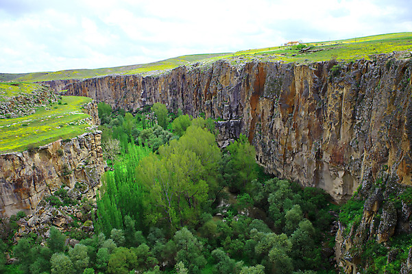 포토 JPG 주간 나무 식물 구름 해외풍경 해외 중동 자연 하늘 카파도키아 풍경 초원 사람없음 야외 골짜기 계곡 절벽 암석 돌_바위 바위 으흐랄라계곡 튀르키예 국내포토 자연요소 나라 아시아 생태계 파일형식