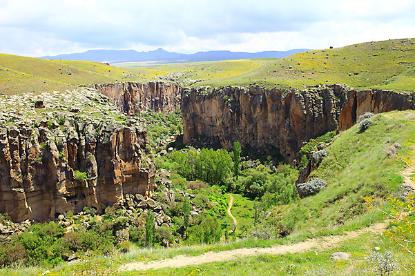 포토 JPG 주간 나무 식물 구름 해외풍경 해외 중동 자연 하늘 바위산 산 카파도키아 풍경 초원 사람없음 야외 골짜기 계곡 절벽 암석 돌_바위 바위 으흐랄라계곡 튀르키예 국내포토 자연요소 나라 아시아 돌산 생태계 파일형식