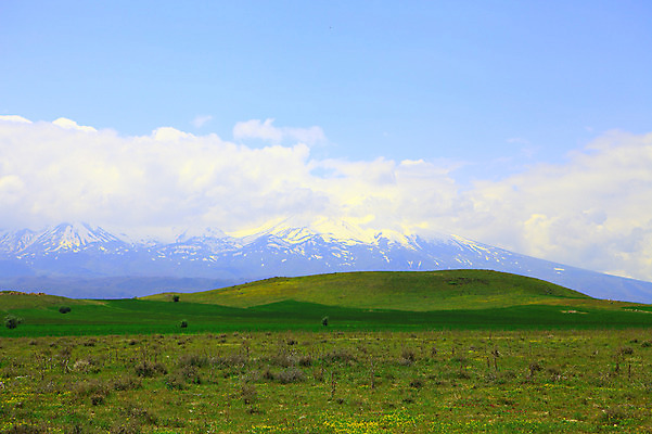 포토 JPG 주간 나무 식물 구름 해외풍경 해외 꽃 중동 자연 하늘 산 카파도키아 풍경 초원 사람없음 야외 맑음 눈 언덕 만년설 겨울산 으흐랄라계곡 튀르키예 국내포토 자연요소 나라 아시아 겨울 날씨 계곡 생태계 파일형식