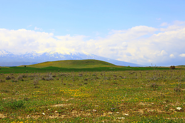 포토 JPG 주간 나무 식물 구름 해외풍경 해외 꽃 중동 자연 하늘 산 카파도키아 풍경 초원 사람없음 야외 맑음 눈 언덕 만년설 겨울산 으흐랄라계곡 튀르키예 국내포토 자연요소 나라 아시아 겨울 날씨 계곡 생태계 파일형식