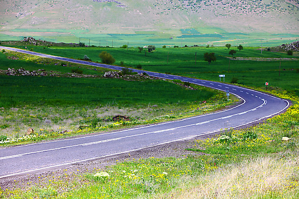 포토 JPG 주간 식물 해외풍경 해외 꽃 도로 길 중동 자연 산 카파도키아 풍경 초원 사람없음 야외 차도 아스팔트 으흐랄라계곡 튀르키예 국내포토 자연요소 나라 아시아 교통시설 계곡 생태계 파일형식