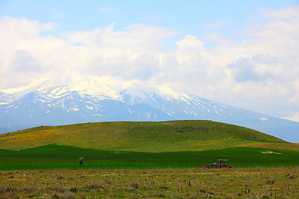 포토 JPG 주간 구름 해외풍경 해외 중동 자연 하늘 산 카파도키아 풍경 초원 야외 눈 언덕 만년설 겨울산 트랙터 으흐랄라계곡 고산지대 튀르키예 국내포토 자연요소 나라 아시아 겨울 날씨 계곡 농기계 생태계 특수차량 파일형식