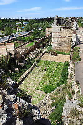 포토 JPG 주간 나무 식물 구름 해외풍경 해외 건축물 건축 도로 벽 외국문화 밭 유적 중동 자동차 유적지 하늘 이스탄불 사람 풍경 야외 담장 하이앵글 농경지 농사 맑음 손상 돌_바위 바위 성 농부 폐허 고대도시 옛터 성벽 터키문화 콘스탄티노플 튀르키예 국내포토 자연요소 직업 동양문화 전통 나라 아시아 문화 길 육상교통 뷰포인트 컨셉 고건축 농업 교통시설 날씨 고대문명 농장 파일형식
