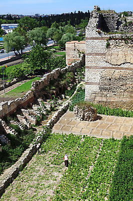 포토 JPG 주간 나무 식물 해외풍경 해외 건축물 건축 벽 외국문화 밭 유적 중동 유적지 이스탄불 사람 풍경 야외 담장 하이앵글 농경지 농사 손상 성 농부 폐허 고대도시 옛터 성벽 터키문화 콘스탄티노플 튀르키예 국내포토 자연요소 직업 동양문화 전통 나라 아시아 문화 뷰포인트 컨셉 고건축 농업 고대문명 농장 파일형식