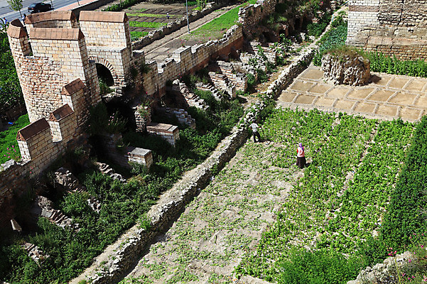 포토 JPG 주간 나무 식물 해외풍경 해외 건축물 건축 벽 외국문화 밭 유적 중동 유적지 이스탄불 사람 풍경 야외 담장 하이앵글 농경지 농사 손상 성 농부 폐허 고대도시 옛터 성벽 터키문화 콘스탄티노플 튀르키예 국내포토 자연요소 직업 동양문화 전통 나라 아시아 문화 뷰포인트 컨셉 고건축 농업 고대문명 농장 파일형식