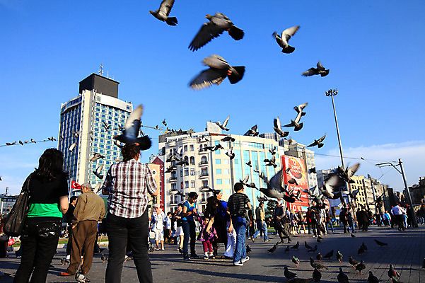 포토 JPG 주간 동물 구름 해외풍경 해외 건축물 여러마리 중동 조류 하늘 거리 이스탄불 거리풍경 사람 풍경 여러명 야외 건물 도시풍경 맑음 도시 보행자 도심 비둘기 새떼 탁심 튀르키예 국내포토 자연요소 건축 나라 아시아 다수 날씨 파일형식