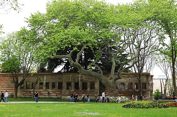 포토 JPG 주간 나무 식물 해외풍경 해외 건축물 건축 꽃 외국문화 꽃밭 유적 중동 유적지 이스탄불 사람 풍경 잔디 여러명 야외 건물 관광지 담장 정원 궁전 문화재 터키문화 토프카프궁전 튀르키예 국내포토 자연요소 동양문화 전통 나라 아시아 문화 여행 다수 고건축 파일형식