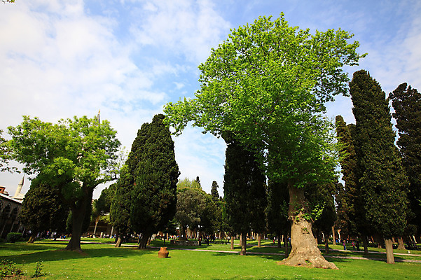 포토 JPG 주간 나무 식물 구름 해외풍경 해외 건축물 공원 외국문화 유적 중동 유적지 하늘 이스탄불 사람 풍경 잔디 여러명 야외 건물 관광지 정원 맑음 궁전 문화재 터키문화 토프카프궁전 튀르키예 국내포토 자연요소 동양문화 전통 공공시설 건축 나라 아시아 문화 여행 다수 고건축 날씨 파일형식