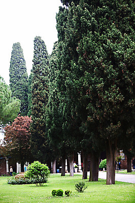 포토 JPG 주간 나무 식물 해외풍경 해외 공원 외국문화 유적 중동 유적지 자연 이스탄불 풍경 잔디 야외 정원 궁전 문화재 터키문화 토프카프궁전 튀르키예 국내포토 자연요소 동양문화 전통 공공시설 나라 아시아 문화 고건축 생태계 파일형식