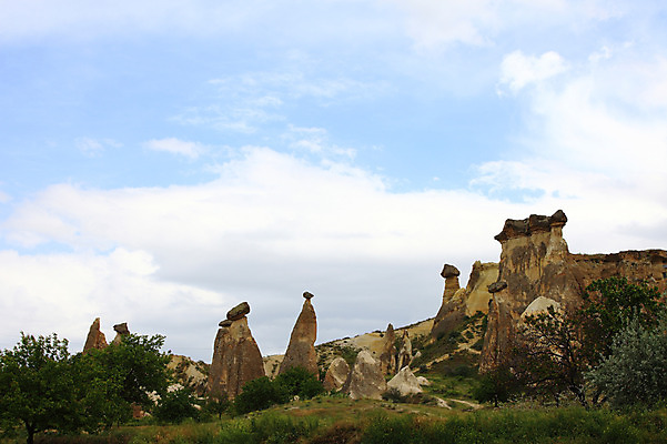 포토 JPG 주간 나무 식물 구름 해외풍경 해외 유적 중동 유적지 자연 하늘 바위산 산 카파도키아 풍경 초원 사람없음 야외 관광지 골짜기 암석 돌_바위 바위 기암괴석 버섯모양 버섯바위 파샤바 튀르키예 국내포토 자연요소 모양 전통 나라 아시아 여행 고건축 바위_돌 돌산 생태계 파일형식