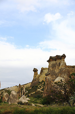 포토 JPG 주간 나무 식물 구름 해외풍경 해외 유적 중동 유적지 자연 하늘 바위산 산 카파도키아 풍경 초원 사람없음 야외 관광지 골짜기 암석 돌_바위 바위 기암괴석 버섯모양 버섯바위 파샤바 튀르키예 국내포토 자연요소 모양 전통 나라 아시아 여행 고건축 바위_돌 돌산 생태계 파일형식