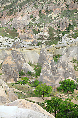 포토 JPG 주간 나무 식물 해외풍경 해외 유적 중동 유적지 자연 바위산 산 카파도키아 풍경 초원 사람없음 야외 관광지 골짜기 암석 돌_바위 바위 기암괴석 버섯모양 버섯바위 파샤바 튀르키예 국내포토 자연요소 모양 전통 나라 아시아 여행 고건축 바위_돌 돌산 생태계 파일형식