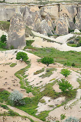 포토 JPG 주간 나무 식물 해외풍경 해외 유적 중동 유적지 자연 바위산 산 카파도키아 풍경 초원 사람없음 야외 관광지 골짜기 암석 돌_바위 바위 동굴 기암괴석 언덕 동굴집 바위동굴 버섯모양 버섯바위 파샤바 튀르키예 국내포토 자연요소 모양 전통 나라 아시아 여행 고건축 바위_돌 돌산 생태계 파일형식