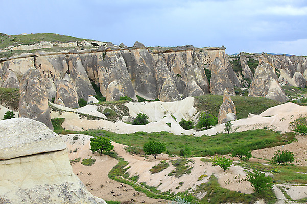 포토 JPG 주간 나무 식물 구름 해외풍경 해외 유적 중동 유적지 자연 하늘 바위산 산 카파도키아 풍경 초원 사람없음 야외 관광지 골짜기 암석 돌_바위 바위 동굴 기암괴석 언덕 동굴집 바위동굴 버섯모양 버섯바위 파샤바 튀르키예 국내포토 자연요소 모양 전통 나라 아시아 여행 고건축 바위_돌 돌산 생태계 파일형식
