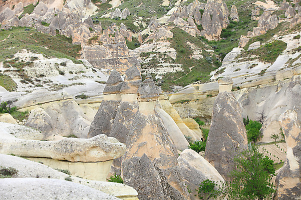 포토 JPG 주간 나무 식물 해외풍경 해외 유적 중동 유적지 자연 바위산 산 카파도키아 풍경 초원 사람없음 야외 관광지 골짜기 암석 돌_바위 바위 기암괴석 버섯모양 버섯바위 파샤바 튀르키예 국내포토 자연요소 모양 전통 나라 아시아 여행 고건축 바위_돌 돌산 생태계 파일형식