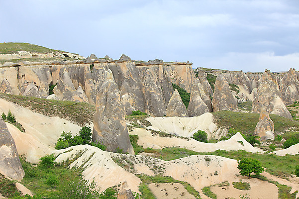 포토 JPG 주간 나무 식물 구름 해외풍경 해외 유적 중동 유적지 자연 하늘 바위산 산 카파도키아 풍경 초원 사람없음 야외 관광지 골짜기 암석 돌_바위 바위 동굴 기암괴석 언덕 동굴집 바위동굴 버섯모양 버섯바위 파샤바 튀르키예 국내포토 자연요소 모양 전통 나라 아시아 여행 고건축 바위_돌 돌산 생태계 파일형식