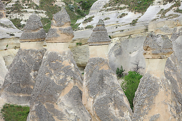 포토 JPG 주간 나무 식물 해외풍경 해외 유적 중동 유적지 자연 바위산 산 카파도키아 풍경 사람없음 야외 관광지 골짜기 암석 돌_바위 바위 기암괴석 버섯모양 버섯바위 파샤바 튀르키예 국내포토 자연요소 모양 전통 나라 아시아 여행 고건축 바위_돌 돌산 생태계 파일형식