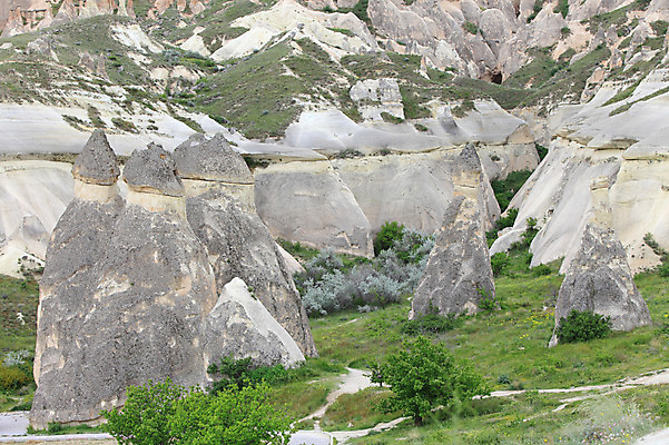 포토 JPG 주간 나무 식물 해외풍경 해외 유적 중동 유적지 자연 바위산 산 카파도키아 풍경 초원 사람없음 야외 관광지 골짜기 암석 돌_바위 바위 기암괴석 버섯모양 버섯바위 파샤바 튀르키예 국내포토 자연요소 모양 전통 나라 아시아 여행 고건축 바위_돌 돌산 생태계 파일형식