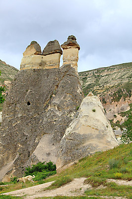 포토 JPG 주간 나무 식물 동물 구름 해외풍경 해외 유적 중동 유적지 자연 하늘 바위산 산 카파도키아 풍경 초원 사람없음 야외 관광지 골짜기 암석 돌_바위 바위 개 기암괴석 버섯모양 버섯바위 파샤바 튀르키예 국내포토 자연요소 모양 전통 나라 아시아 여행 고건축 포유류 바위_돌 돌산 생태계 파일형식