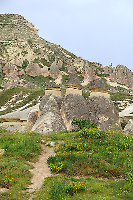 포토 JPG 주간 해외풍경 해외 유적 중동 유적지 자연 바위산 산 카파도키아 풍경 초원 사람없음 야외 관광지 골짜기 암석 돌_바위 바위 기암괴석 버섯모양 버섯바위 파샤바 튀르키예 국내포토 자연요소 모양 전통 나라 아시아 여행 고건축 바위_돌 돌산 생태계 파일형식