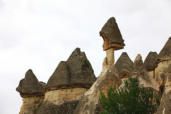 포토 JPG 주간 나무 식물 해외풍경 해외 유적 중동 유적지 자연 바위산 카파도키아 풍경 사람없음 야외 관광지 골짜기 암석 돌_바위 바위 기암괴석 버섯모양 버섯바위 파샤바 튀르키예 국내포토 자연요소 모양 전통 나라 아시아 여행 고건축 바위_돌 돌산 생태계 파일형식