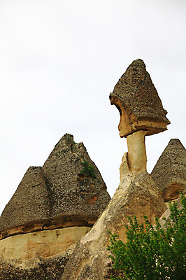 포토 JPG 주간 나무 식물 해외풍경 해외 유적 중동 유적지 자연 바위산 카파도키아 풍경 사람없음 야외 관광지 골짜기 암석 돌_바위 바위 기암괴석 버섯모양 버섯바위 파샤바 튀르키예 국내포토 자연요소 모양 전통 나라 아시아 여행 고건축 바위_돌 돌산 생태계 파일형식