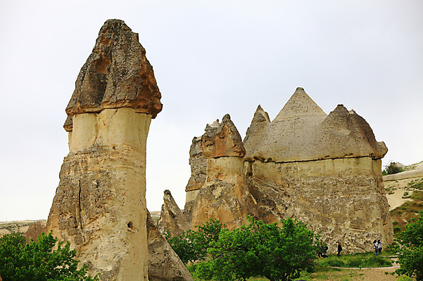 포토 JPG 주간 나무 식물 해외풍경 해외 여행 유적 중동 유적지 자연 바위산 산 카파도키아 사람 풍경 여러명 야외 관광지 여행객 골짜기 암석 돌_바위 바위 기암괴석 버섯모양 버섯바위 파샤바 튀르키예 국내포토 자연요소 모양 전통 나라 아시아 다수 고건축 바위_돌 돌산 생태계 파일형식