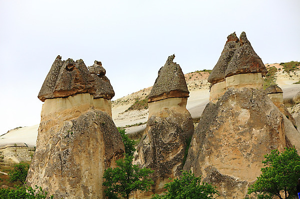 포토 JPG 주간 나무 식물 해외풍경 해외 유적 중동 유적지 자연 바위산 산 카파도키아 풍경 사람없음 야외 관광지 골짜기 암석 돌_바위 바위 기암괴석 버섯모양 버섯바위 파샤바 튀르키예 국내포토 자연요소 모양 전통 나라 아시아 여행 고건축 바위_돌 돌산 생태계 파일형식