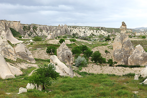 포토 JPG 주간 나무 식물 구름 해외풍경 해외 유적 중동 유적지 자연 하늘 바위산 산 카파도키아 풍경 초원 사람없음 야외 관광지 골짜기 암석 돌_바위 바위 기암괴석 언덕 버섯모양 버섯바위 파샤바 튀르키예 국내포토 자연요소 모양 전통 나라 아시아 여행 고건축 바위_돌 돌산 생태계 파일형식