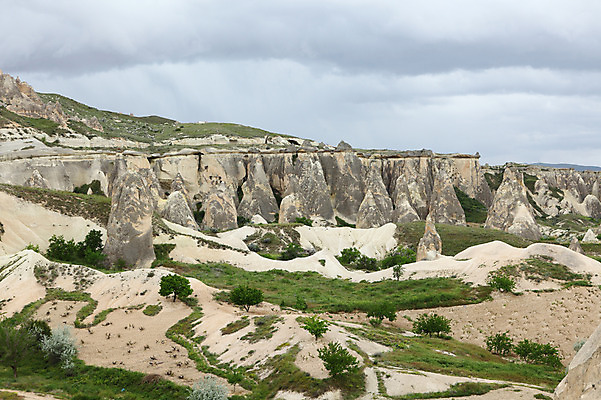 포토 JPG 주간 나무 식물 구름 해외풍경 해외 유적 중동 유적지 자연 하늘 바위산 산 카파도키아 풍경 초원 사람없음 야외 관광지 골짜기 암석 돌_바위 바위 기암괴석 언덕 버섯모양 버섯바위 파샤바 튀르키예 국내포토 자연요소 모양 전통 나라 아시아 여행 고건축 바위_돌 돌산 생태계 파일형식