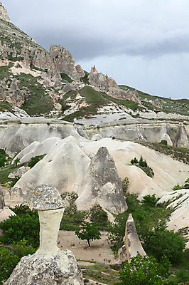 포토 JPG 주간 나무 식물 구름 해외풍경 해외 유적 중동 유적지 자연 하늘 바위산 산 카파도키아 풍경 초원 사람없음 야외 관광지 골짜기 암석 돌_바위 바위 기암괴석 버섯모양 버섯바위 파샤바 튀르키예 국내포토 자연요소 모양 전통 나라 아시아 여행 고건축 바위_돌 돌산 생태계 파일형식