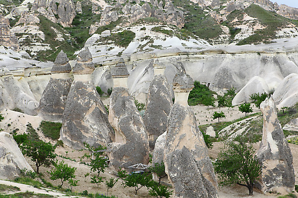 포토 JPG 주간 나무 식물 해외풍경 해외 유적 중동 유적지 자연 바위산 산 카파도키아 풍경 초원 사람없음 야외 관광지 골짜기 암석 돌_바위 바위 기암괴석 버섯모양 버섯바위 파샤바 튀르키예 국내포토 자연요소 모양 전통 나라 아시아 여행 고건축 바위_돌 돌산 생태계 파일형식