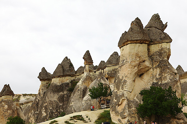 포토 JPG 주간 나무 식물 해외풍경 해외 여행 유적 중동 유적지 자연 바위산 카파도키아 사람 풍경 야외 두명 관광지 여행객 골짜기 암석 돌_바위 바위 기암괴석 버섯모양 버섯바위 파샤바 튀르키예 국내포토 자연요소 모양 전통 나라 아시아 고건축 바위_돌 돌산 생태계 파일형식