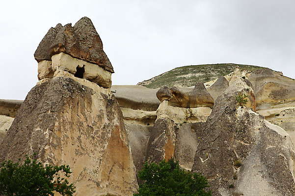 포토 JPG 주간 나무 식물 구름 해외풍경 해외 유적 중동 유적지 자연 하늘 바위산 카파도키아 풍경 사람없음 야외 관광지 골짜기 암석 돌_바위 바위 기암괴석 버섯모양 버섯바위 파샤바 튀르키예 국내포토 자연요소 모양 전통 나라 아시아 여행 고건축 바위_돌 돌산 생태계 파일형식