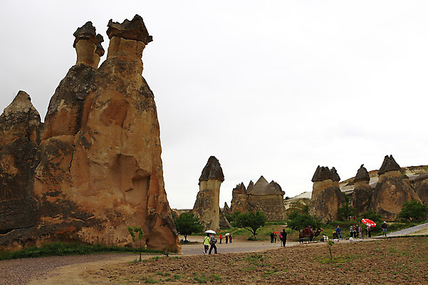 포토 JPG 주간 나무 식물 동물 해외풍경 해외 여행 유적 중동 유적지 자연 바위산 카파도키아 풍경 초원 여러명 야외 관광지 여행객 골짜기 암석 돌_바위 바위 기암괴석 낙타 버섯모양 버섯바위 파샤바 튀르키예 국내포토 자연요소 모양 전통 나라 아시아 다수 고건축 포유류 사람 바위_돌 돌산 생태계 파일형식
