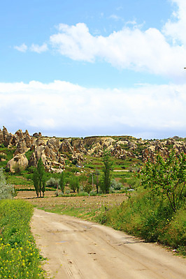 포토 JPG 주간 나무 식물 구름 해외풍경 해외 꽃 길 유적 중동 유적지 자연 하늘 바위산 산 카파도키아 국립공원 풍경 초원 사람없음 야외 골짜기 맑음 원근감 세계문화유산 암석 돌_바위 바위 동굴 오솔길 기암괴석 고대도시 괴레메 동굴집 바위동굴 튀르키예 국내포토 자연요소 전통 공원 나라 아시아 뷰포인트 고건축 날씨 고대문명 문화재 바위_돌 돌산 생태계 파일형식