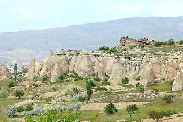포토 JPG 주간 나무 식물 해외풍경 해외 유적 중동 유적지 자연 바위산 산 카파도키아 국립공원 풍경 초원 사람없음 야외 골짜기 세계문화유산 암석 돌_바위 바위 동굴 기암괴석 고대도시 괴레메 동굴집 바위동굴 튀르키예 국내포토 자연요소 전통 공원 나라 아시아 고건축 고대문명 문화재 바위_돌 돌산 생태계 파일형식