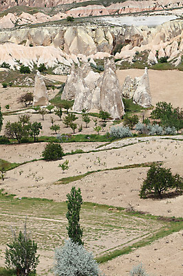 포토 JPG 주간 나무 식물 해외풍경 해외 유적 중동 유적지 자연 바위산 카파도키아 국립공원 풍경 초원 사람없음 야외 골짜기 세계문화유산 암석 돌_바위 바위 동굴 기암괴석 고대도시 괴레메 동굴집 바위동굴 튀르키예 국내포토 자연요소 전통 공원 나라 아시아 고건축 고대문명 문화재 바위_돌 돌산 생태계 파일형식