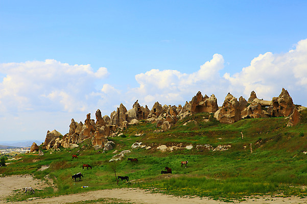 포토 JPG 주간 나무 식물 동물 구름 해외풍경 해외 유적 여러마리 중동 유적지 자연 하늘 바위산 카파도키아 국립공원 풍경 초원 사람없음 야외 골짜기 맑음 목장 세계문화유산 암석 돌_바위 바위 말_동물 동굴 방목 기암괴석 고대도시 괴레메 동굴집 바위동굴 튀르키예 국내포토 자연요소 전통 공원 나라 아시아 다수 고건축 포유류 날씨 고대문명 문화재 바위_돌 축산업 돌산 생태계 파일형식