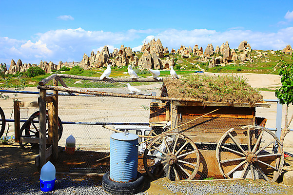 포토 JPG 주간 동물 구름 해외풍경 해외 유적 여러마리 중동 유적지 자연 조류 하늘 바위산 산 카파도키아 국립공원 풍경 초원 사람없음 야외 울타리 골짜기 맑음 수레 세계문화유산 암석 돌_바위 바위 동굴 기암괴석 타이어 고대도시 괴레메 동굴집 바위동굴 드럼통 튀르키예 국내포토 자연요소 전통 공원 나라 아시아 다수 고건축 날씨 고대문명 담장 카트 문화재 바위_돌 돌산 생태계 파일형식